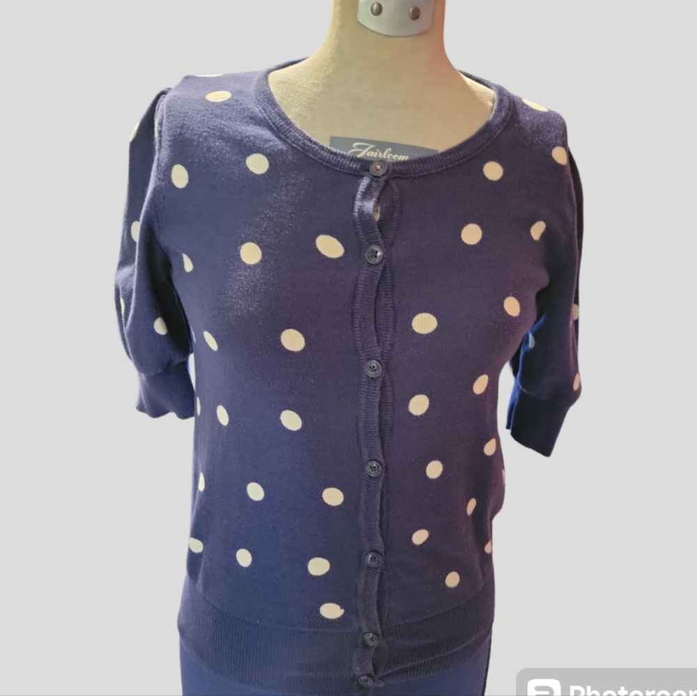 See Curated Box #4 American Eagle Outfit blue w/light cream polka-dots sweater